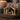A small wooden nativity scene with a gold-toned stable frame and figures, displayed in a dark wood tray with greenery and red berries, with a lit candle in the background.