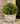 greenery ball shown in a pot on the stoop