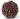 Kalanchoe Ball