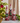 Three distressed red and white Santa Claus figurines standing on a table runner in front of a blurred Christmas tree and curtains.