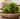 greenery balss in dough bowl on a table