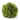 picture of greenery ball on white backdrop