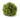 picture of greenery ball on white backdrop