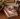 A stack of vintage-style hardcover books on a wooden table, with the top book featuring a horse illustration and red floral accents. Decorative pine branches, a wooden bowl with a pinecone, and a horse statue are arranged around it.