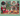 picture of family room puzzle on green background
