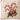 Cream & Gold Candy Cane Square Pillow with Striped Piping, 20"