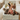 Rudie The Reindeer Plush
