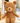 Brownie The Bear Plush