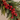 A close-up of a holiday garland featuring green evergreen branches with clusters of bright red berries, set against a soft beige background.