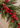 A close-up of a holiday garland featuring green evergreen branches with clusters of bright red berries, set against a soft beige background.