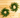 Two green artificial pine wreaths arranged on a light wood plank background.
